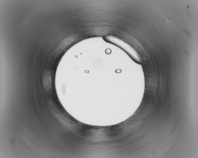 X0000111230120200908131130