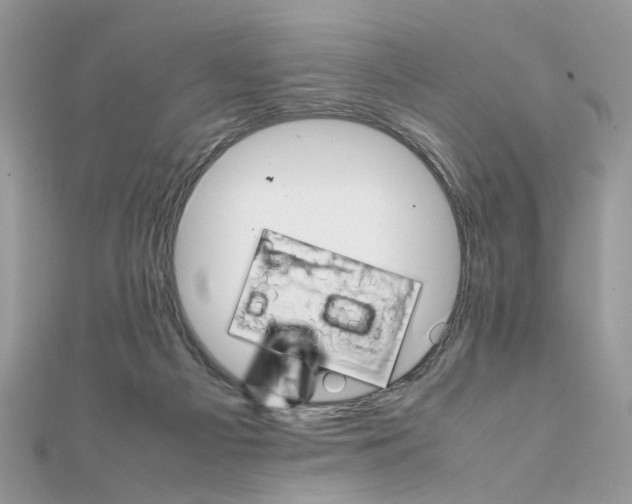 X0000111230121200908131130