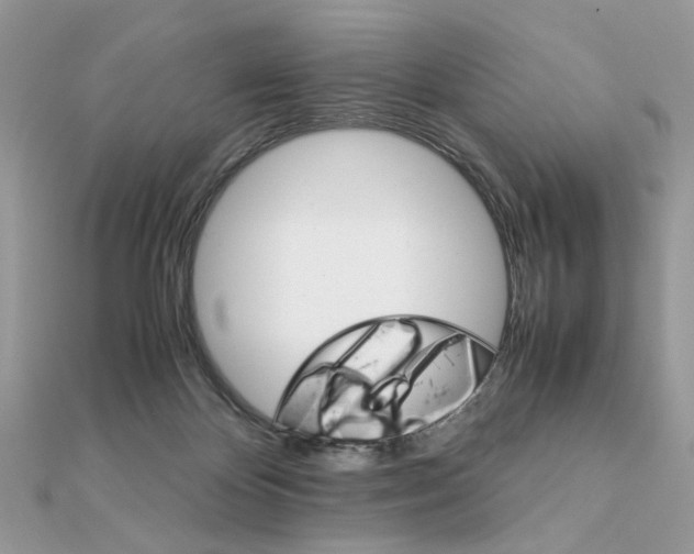 X0000111230124200908131130