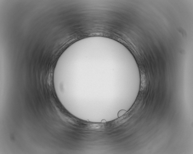X0000111230126200908131130