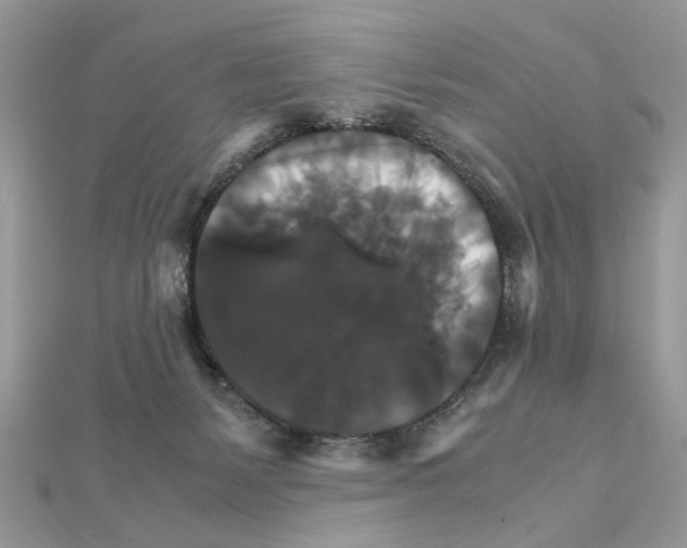 X0000111230127200908131130