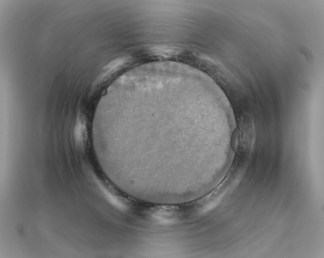 X0000111230128200908131130