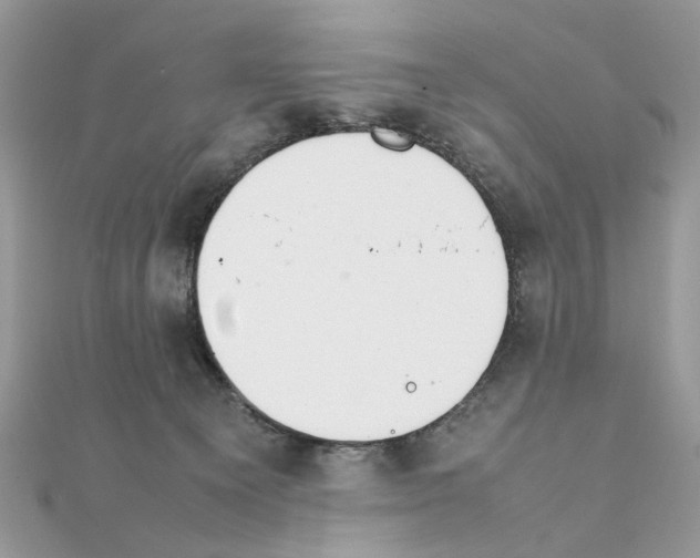 X0000111230129200908131130
