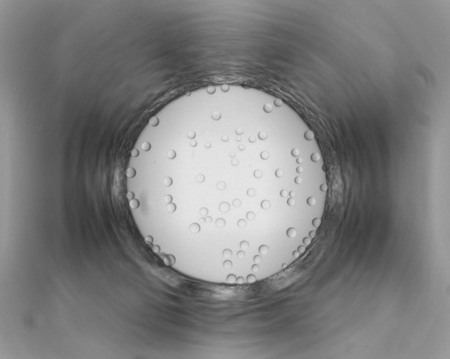 X0000111230130200908131130