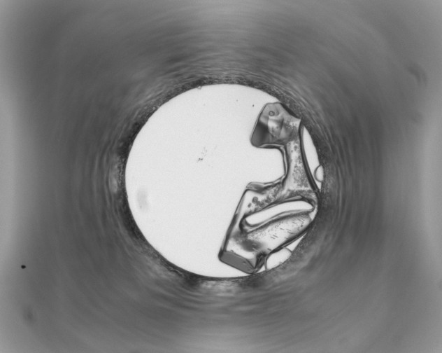 X0000111230133200908131130