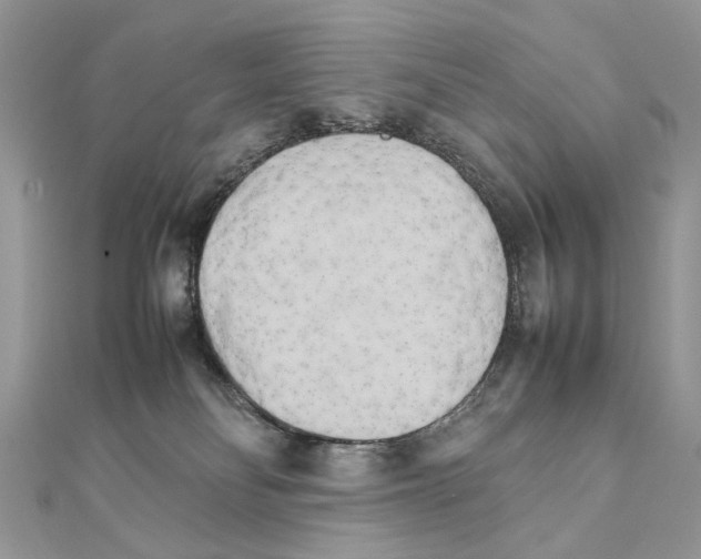 X0000111230134200908131130