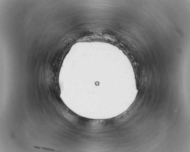 X0000111230136200908131130