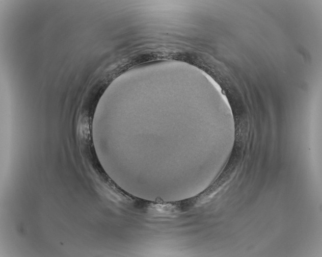 X0000111230137200908131130