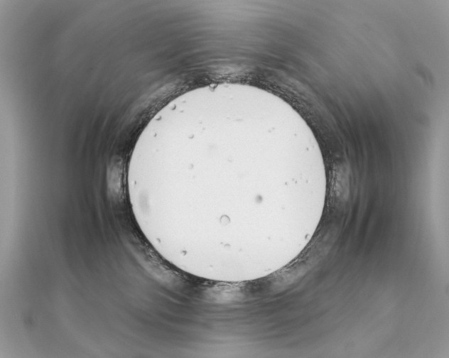 X0000111230138200908131130