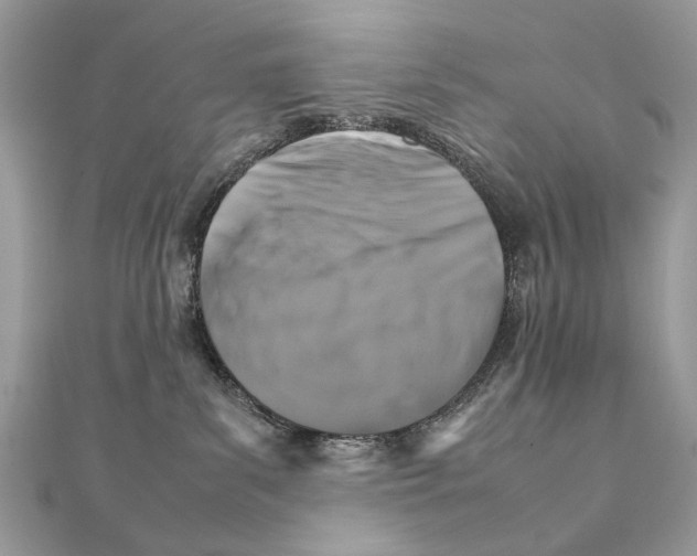 X0000111230139200908131130