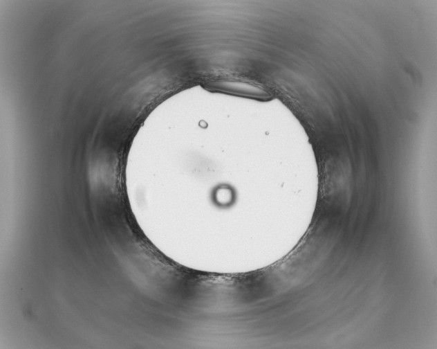 X0000111230140200908131130
