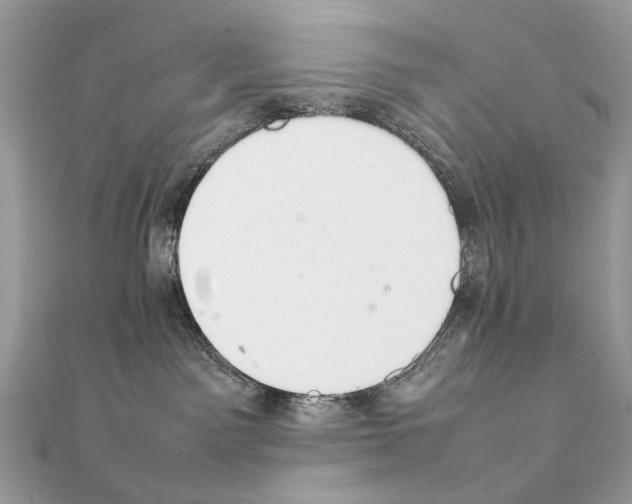 X0000111230141200908131130