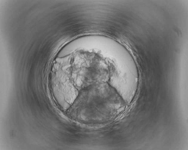X0000111230145200908131130