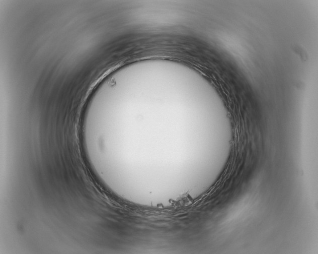 X0000111230146200908131130