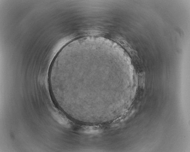 X0000111230147200908131130