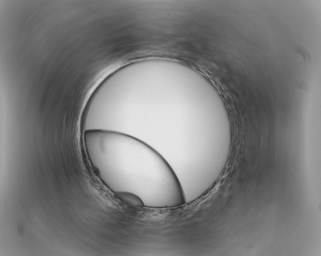 X0000111230148200908131130