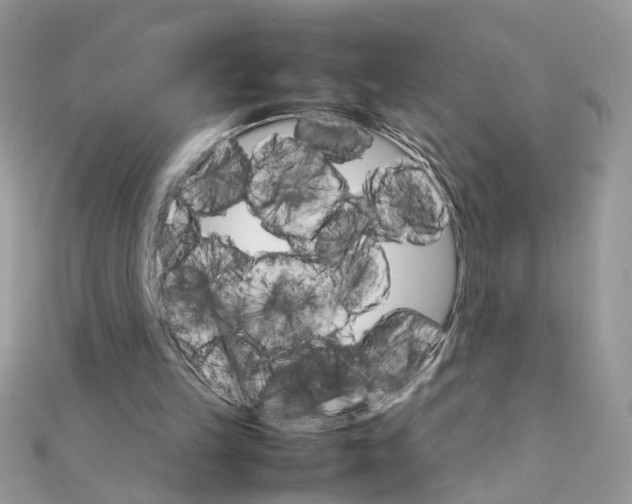 X0000111230149200908131130