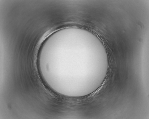 X0000111230150200908131130