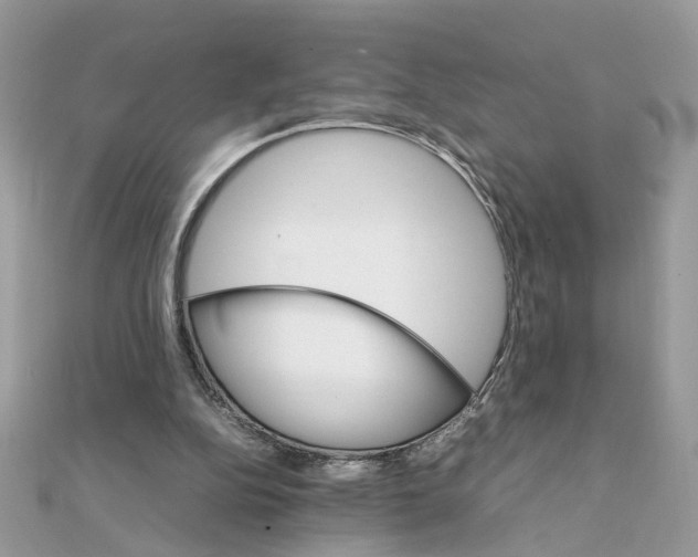 X0000111230152200908131130