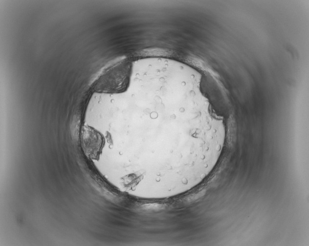 X0000111230153200908131130