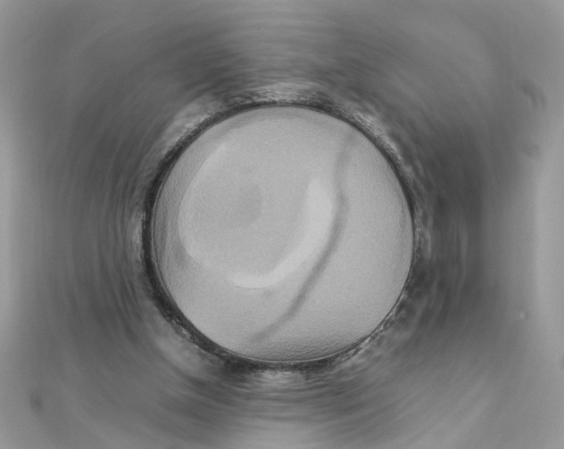 X0000111230154200908131130