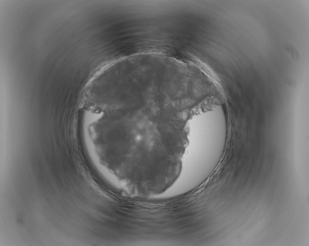 X0000111230155200908131130