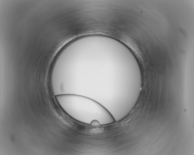 X0000111230156200908131130
