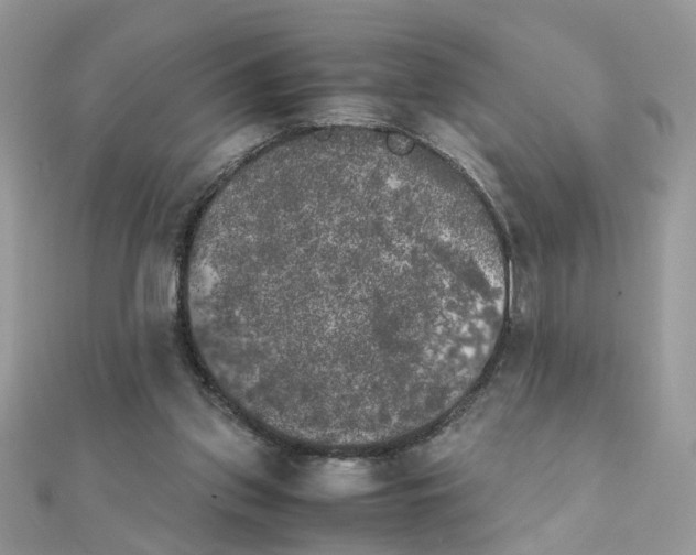 X0000111230157200908131130