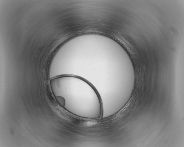 X0000111230158200908131130