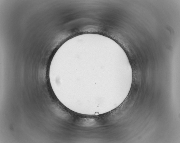 X0000111230159200908131130