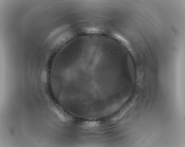 X0000111230161200908131130