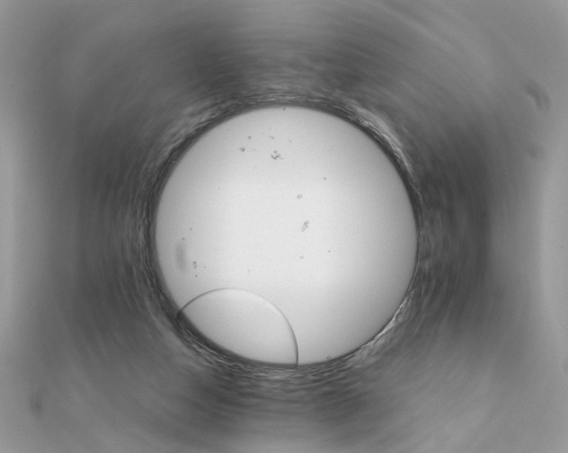 X0000111230162200908131130