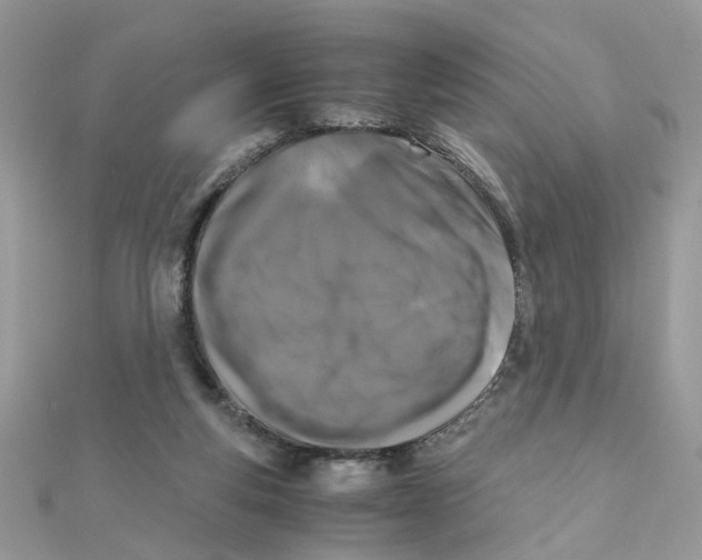 X0000111230163200908131130