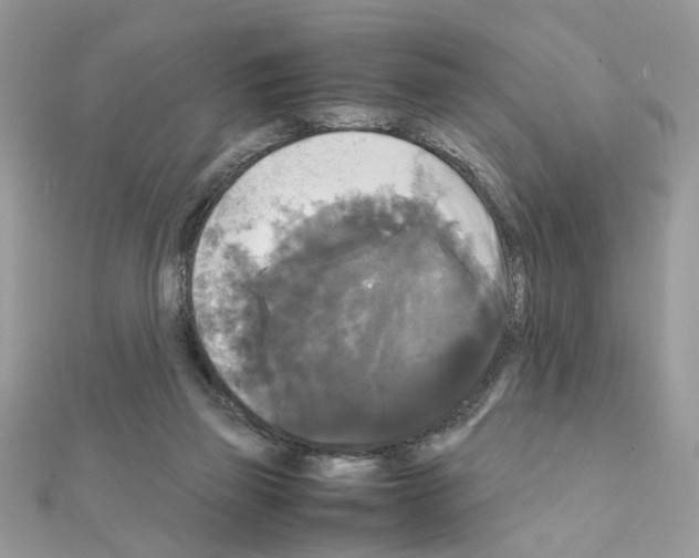 X0000111230165200908131130
