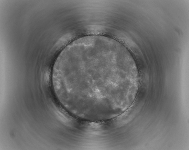X0000111230166200908131130