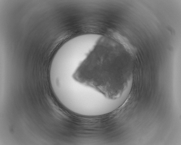 X0000111230167200908131130