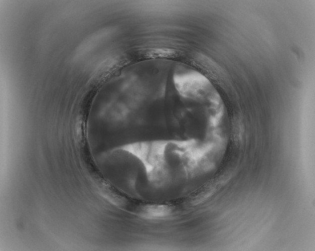 X0000111230169200908131130