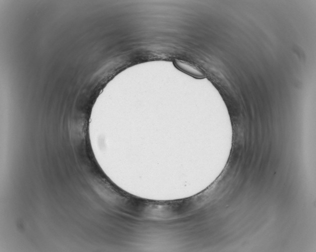 X0000111230174200908131130