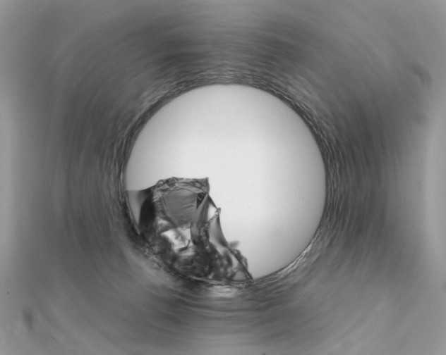 X0000111230176200908131130