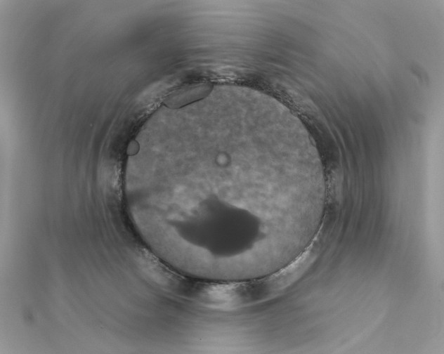 X0000111230178200908131130