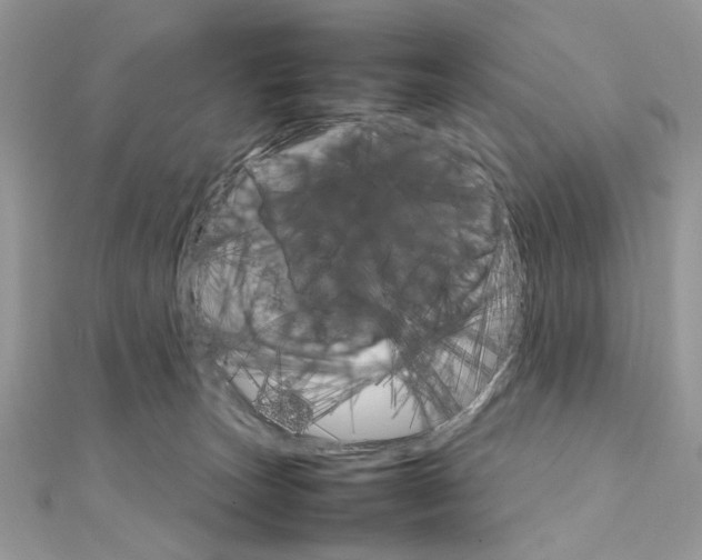 X0000111230179200908131130