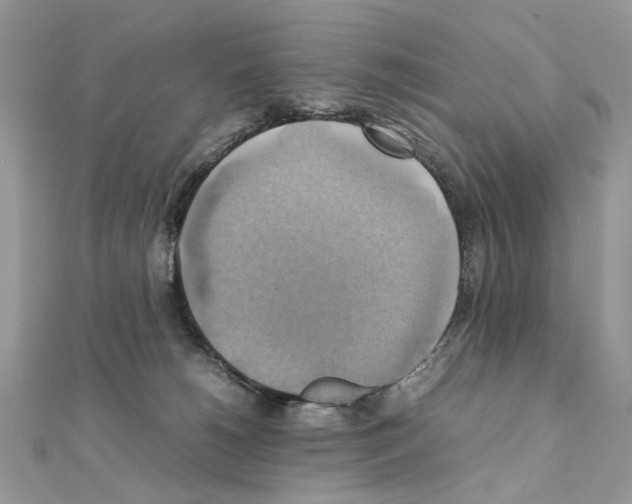 X0000111230180200908131130