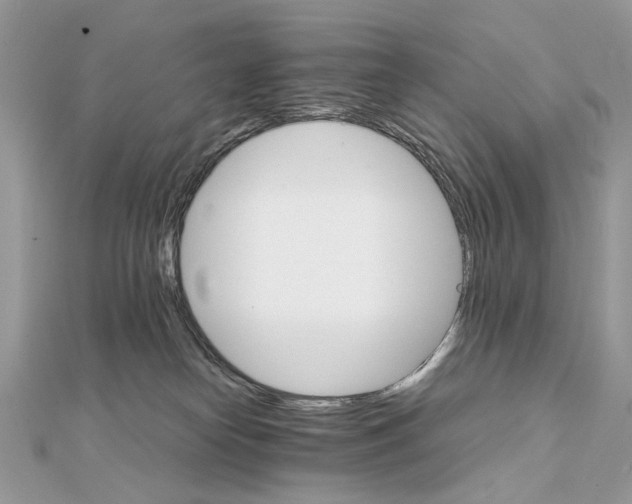 X0000111230182200908131130