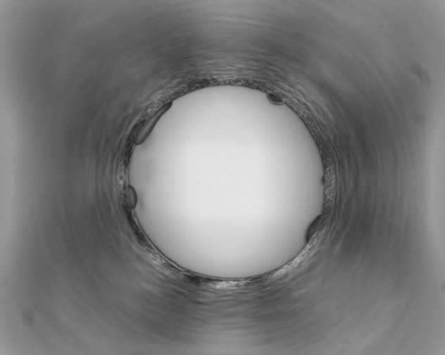 X0000111230184200908131130