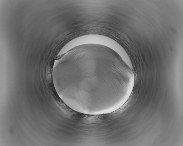 X0000111230186200908131130