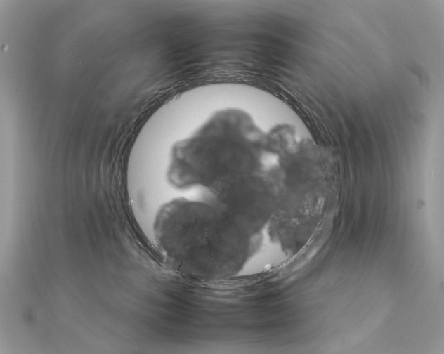 X0000111230187200908131130