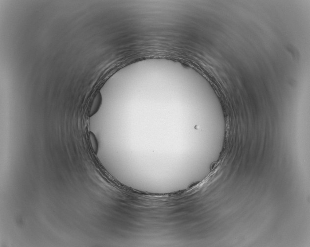 X0000111230188200908131130