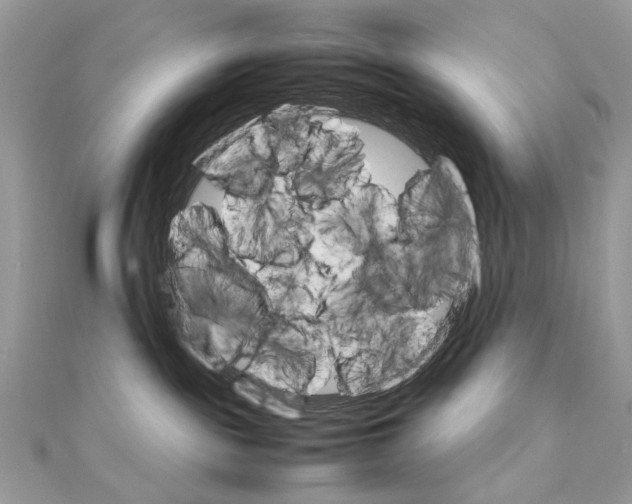 X0000111230189200908131130