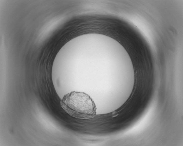 X0000111230190200908131130