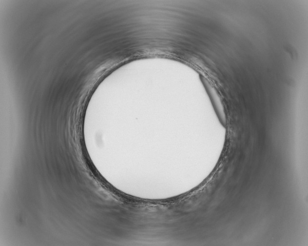 X0000111230193200908131129